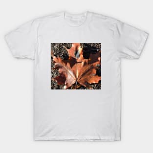 Orange leaf, autumn T-Shirt